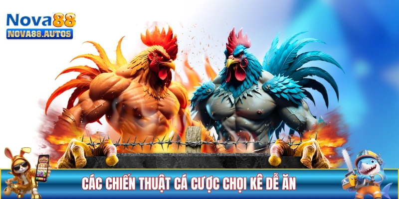 Các chiến thuật cá cược chọi kê dễ ăn