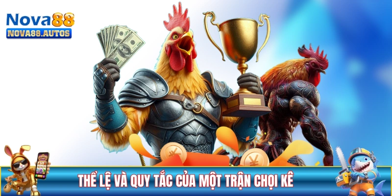 Thể lệ và quy tắc của một trận chọi kê chuyên nghiệp