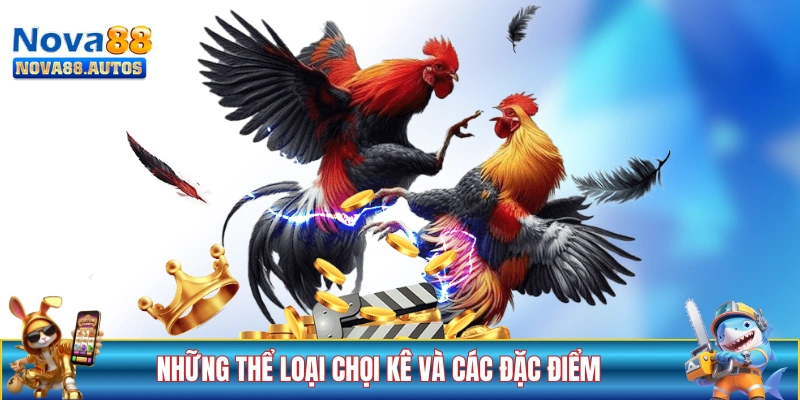 Những thể loại chọi kê và các đặc điểm tương ứng