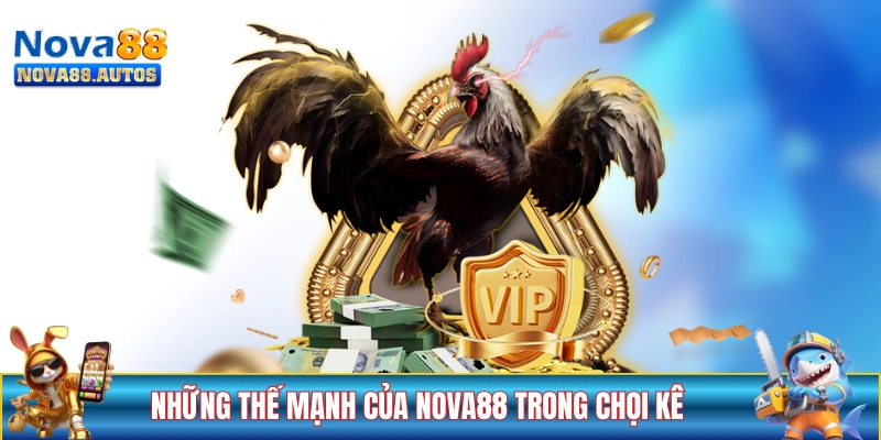 Những thế mạnh của NOVA88 trong mảng chọi kê