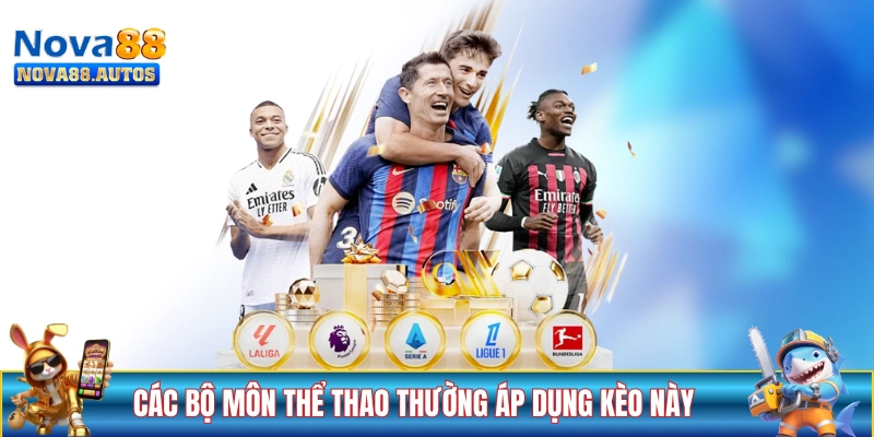 Các bộ môn thể thao thường áp dụng kèo này