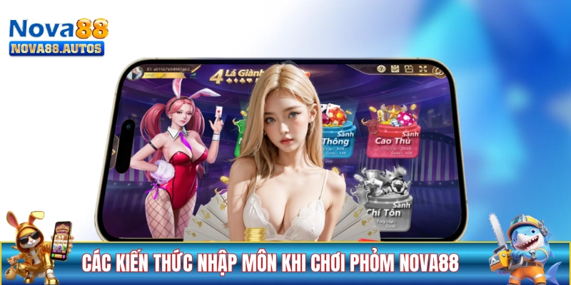 Các kiến thức nhập môn khi chơi Phỏm NOVA88